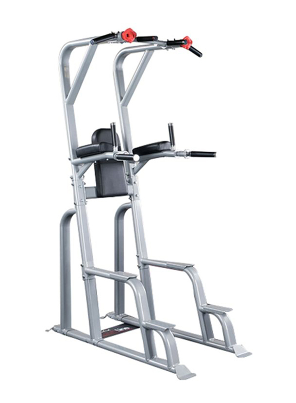 

Body Solid Pro Clubline Vertical Knee Raise Home Gym, Silver
