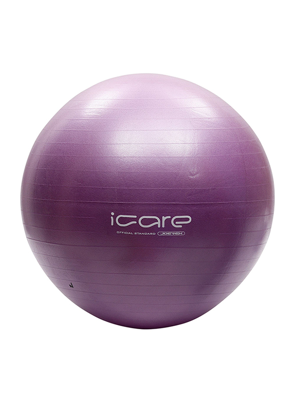 

Joerex I Care Gym Ball, JIC081, Purple