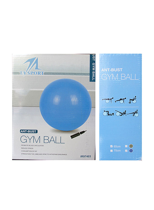 

Generic Anti-Brust Gym Ball with Pump, 65cm, Grey