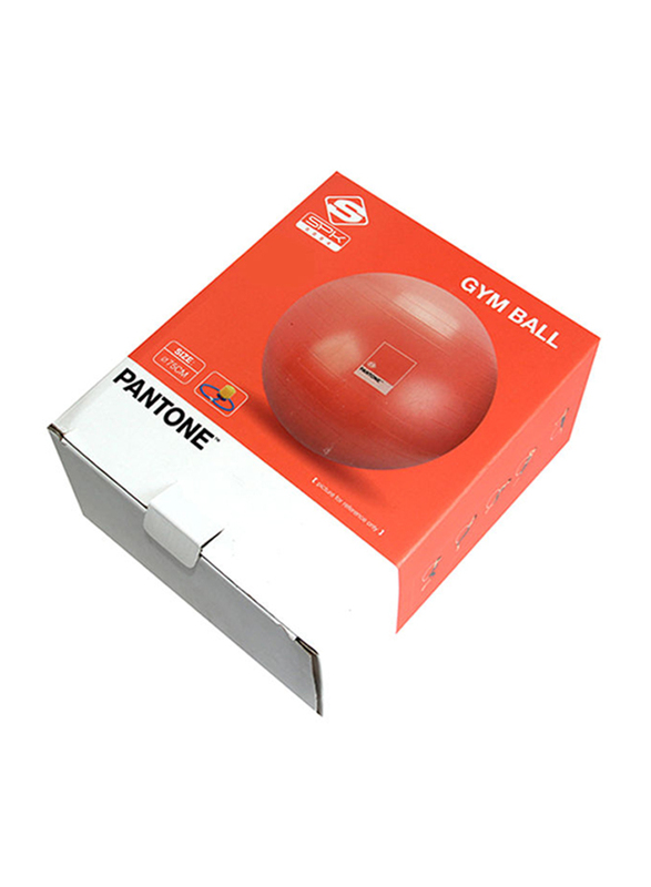 

Pantone Gym Ball Set, Coral