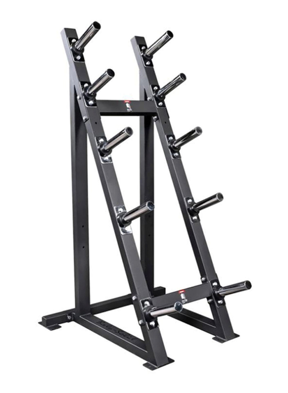 

Body Solid Weight Storage Rack, Black/Chrome