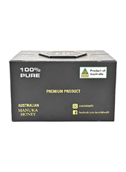 AusVita Health MGO 1250+ Manuka Honey Special Gift Pack, 500g