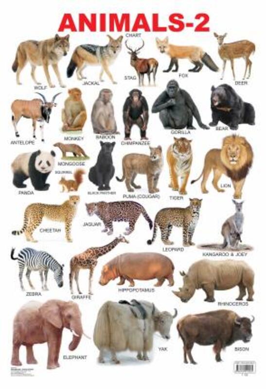 

Animals 2, Fold-Out Book or Chart, By: Dreamland Publications