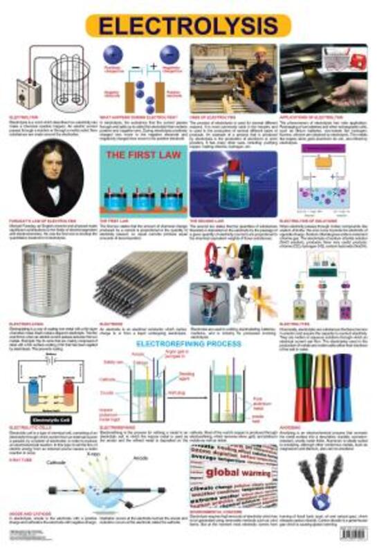 

Electrolysis, Fold-Out Book or Chart, By: Dreamland Publications