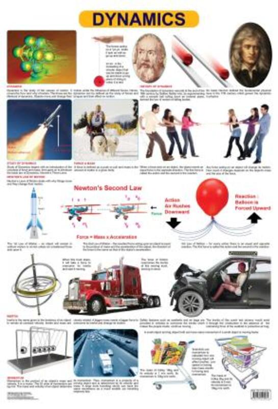 

Dynamics, Fold-Out Book or Chart, By: Dreamland Publications
