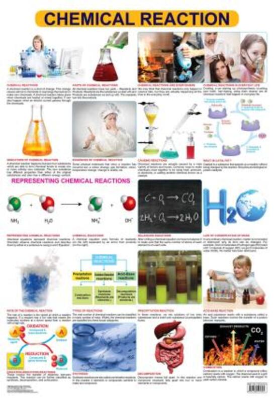 

Chemical Reactions, Fold-Out Book or Chart, By: Dreamland Publications