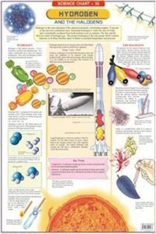 

Hydrogen & The Halogens, Fold-Out Book or Chart, By: Dreamland Publications