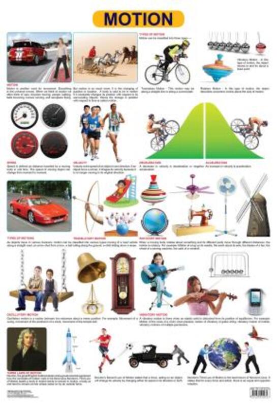 

Motion, Fold-Out Book or Chart, By: Dreamland Publications