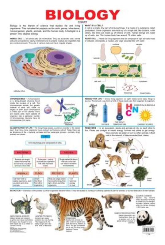 

Biology, Fold-Out Book or Chart, By: Dreamland Publications