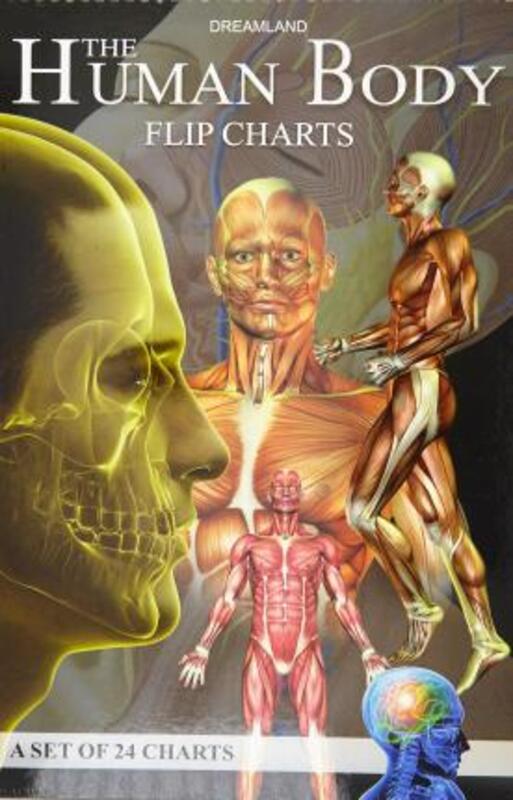 

The Human Body Flip Charts, Hardcover Book, By: Dreamland Publications