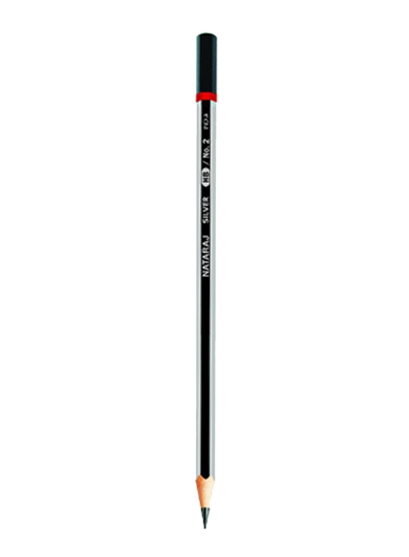 Nataraj 12-Piece HB No. 2 Silver Pencil without Tip, Silver/Black