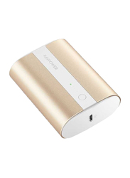 Rav Power 10000mAh 2-Port PD Pioneer Mini Power Bank with Type-C USB Input, Metallic Gold