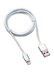 Honeywell 1.2-Meter Lightning Braided Charge/Sync Cable, USB A Male to Lightning for Apple Devices, Silver