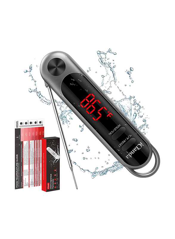 

iClanda Meat Thermometer, Dark Grey