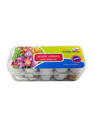 Fevicryl 10-Piece Hobby Ideas Acrylic Colours Sunflower Kit, 150ml, Multicolour