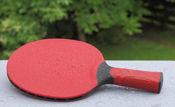 Donic Alltec Hobby Pro Table Tennis, Red