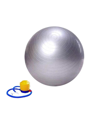 Winmax Gym Exercise Ball with Pump, WMF09945S, 65cm, Silver