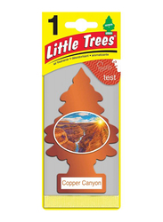 Little Tree Copper Canyon Air Freshener