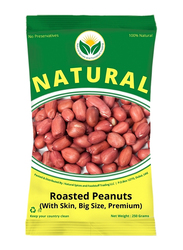 Natural Spices Peanut Roasted Salted Big Size, With Skin, 250g