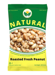 Natural Spices Peanut Roasted Salted No Skin, 200g
