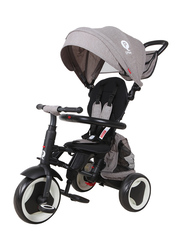 Qplay Rito Plus Junior Steel Tricycle, Grey