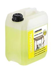 Karcher Universal Car Cleaner