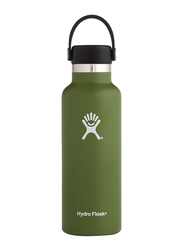 Hydro Flask 18oz Stainless Steel Vacuum Insulated Water Bottle, Green/Black/Silver