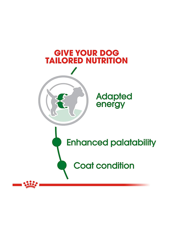 Royal Canin Mini Adult Dog Dry Food, 2 Kg