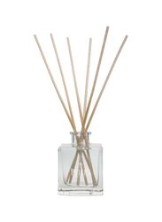 Aladino Musk Scented Reed Diffuser, 100ml, Green