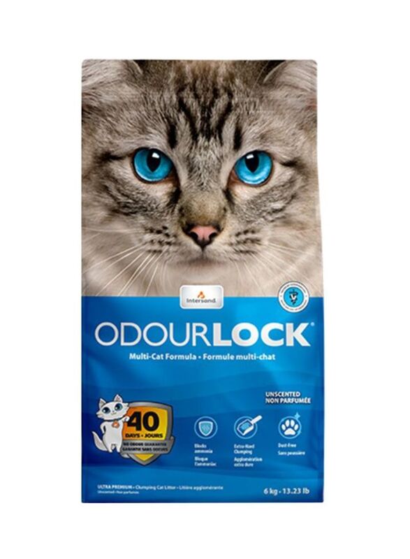 

Intersand Odour Lock Clumping Cat Litter, 6 Kg