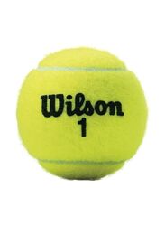 Wilson Championship Extra Duty Tennis Balls Set, 4 Pieces, Green