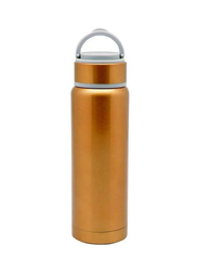 Royalford 360ml Stainless Steel Vacuum Thermos Flask Bottle, Brown/Grey