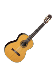 Takamine C132S Classical Guitar with Case, Rosewood Fingerboard, Natural/Brown