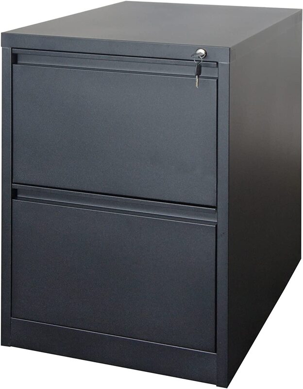 

Mahmayi Godrej Steel Two Drawer File Cabinet, Black