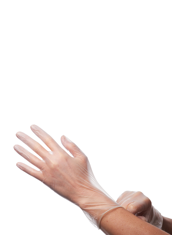

Palm Disposable Vinyl Powder Free Gloves, Large, 100 Piece, Clear