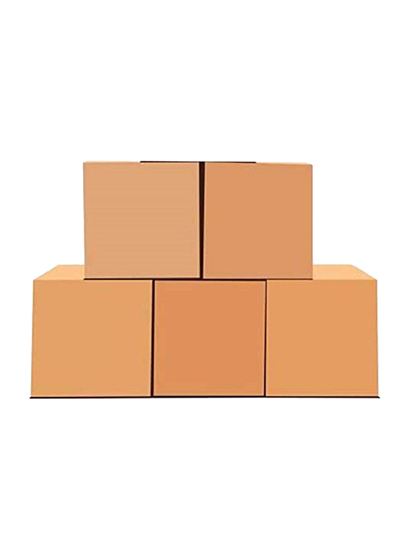 Hollywood Stores Carton Box Set, 5 Pieces, Brown