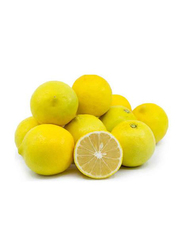 Desert Fresh Lime India, 450g
