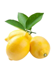 Desert Fresh Lemon South Africa, 450g