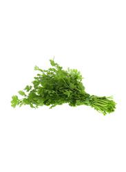 Desert Fresh Coriander Leaves Egypt, 100g