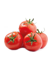 Desert Fresh Tomato India, 900g
