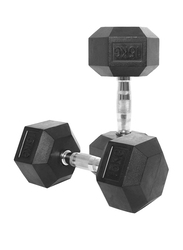 Harley Fitness Rubber Hex Dumbbell Set, 2 x 15KG, Black/Silver