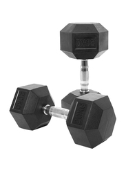 Harley Fitness Rubber Hex Dumbbell Set, 2 x 20KG, Black/Silver