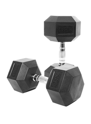 Harley Fitness Rubber Hex Dumbbell Set, 2 x 27.5KG, Black/Silver
