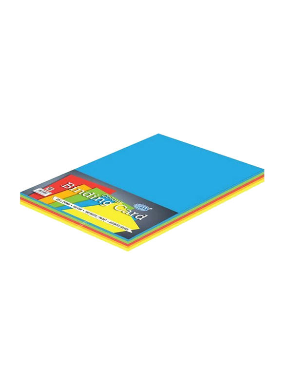 

FIS Colour Binding Card, 100 Sheets, Multicolour