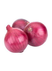 Fruits Garden Red Onion Oman, 1 Kg