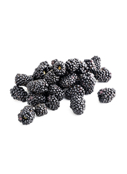 Fruits Garden Fresh Blackberry, USA, 170g