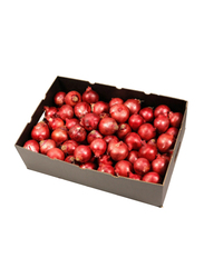 Fruits Garden Fresh Onion, Oman, 15Kg