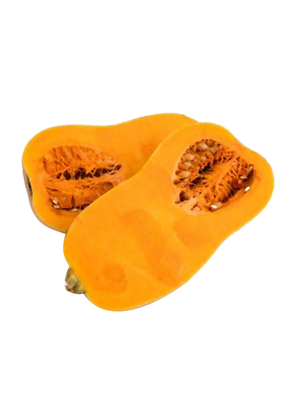 Fruits Garden Fresh Pumpkin Butternut, South Africa, 0.75-1Kg