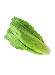 Fruits Garden Lettuce Long Oman, 500g