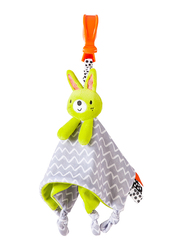 RedKite Baby Clip on Bunny Comforter, Green